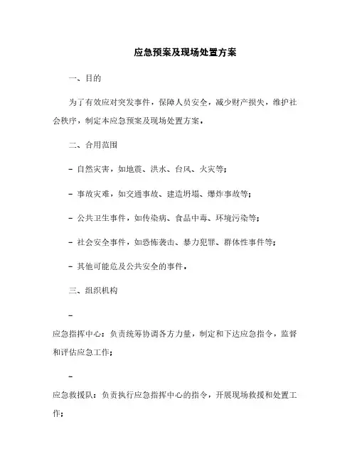 应急预案及现场处置方案