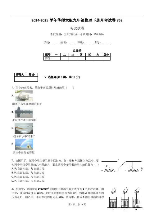 2024-2025学年华师大版九年级物理下册月考试卷768