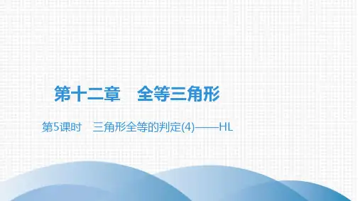 人教版八年级数学上册第12章第5课时 三角形全等的判定——HL
