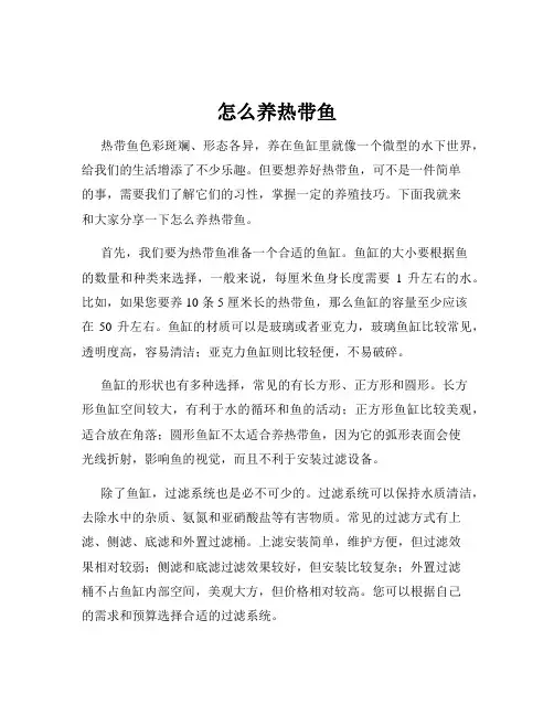 怎么养热带鱼