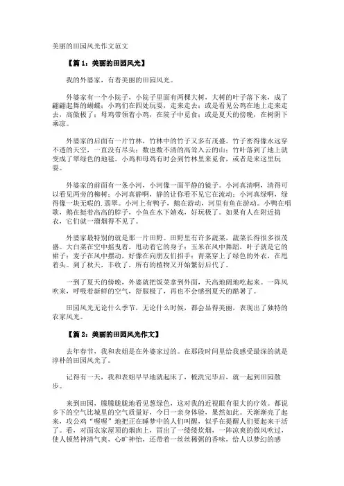 美丽的田园风光作文