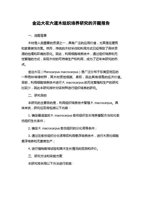 金边大花六道木组织培养研究的开题报告