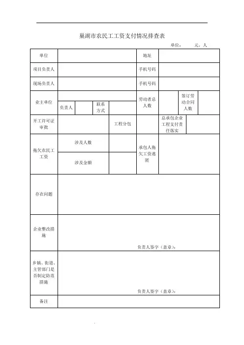 拖欠农民工工资排查表