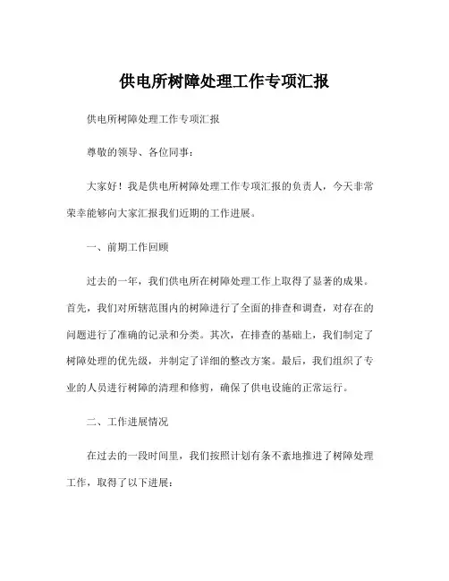 供电所树障处理工作专项汇报