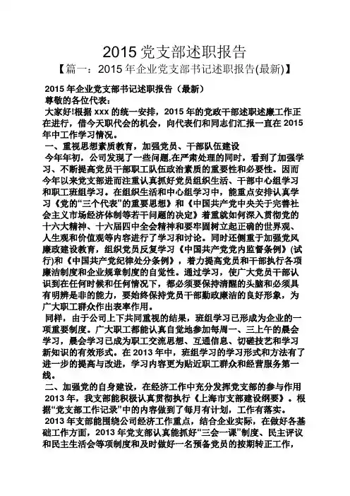 2015党支部述职报告