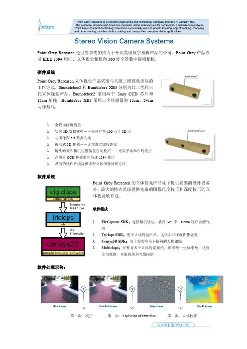 Bumblebee软件使用指南