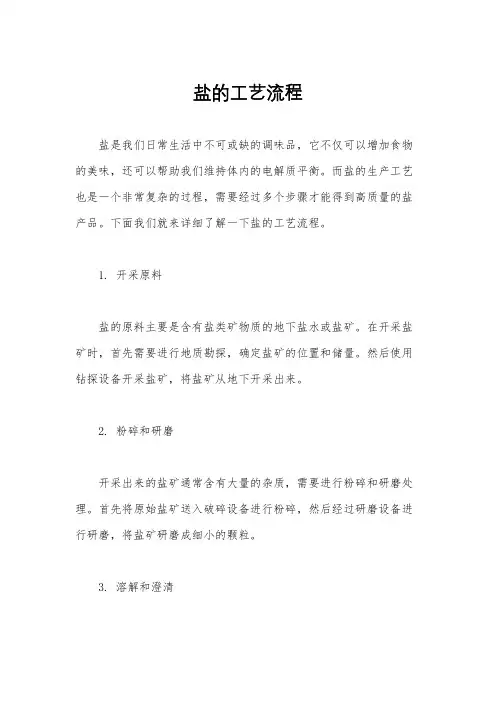盐的工艺流程