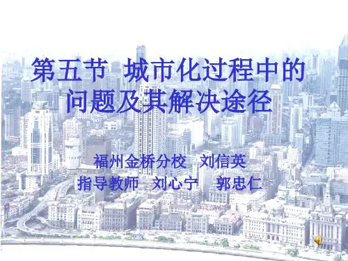 《城市化过程中的问题及其解决途径》PPT4 人教课标版
