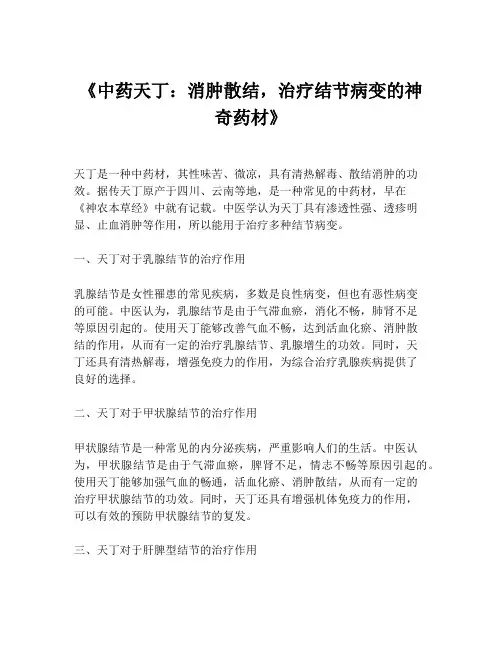 《中药天丁：消肿散结,治疗结节病变的神奇药材》