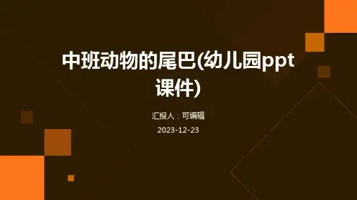 中班动物的尾巴(幼儿园ppt课件)