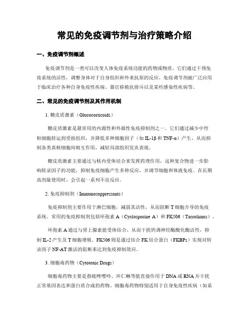 常见的免疫调节剂与治疗策略介绍