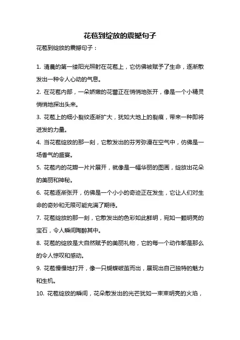 花苞到绽放的震撼句子