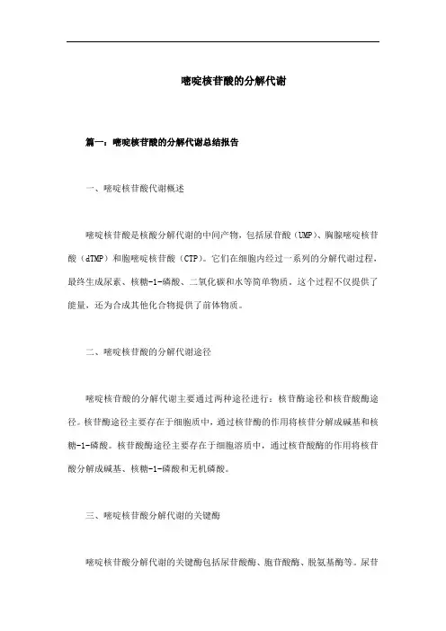 嘧啶核苷酸的分解代谢