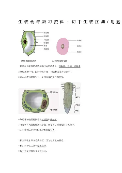 生物会考复习初中生物图集附题目人教版