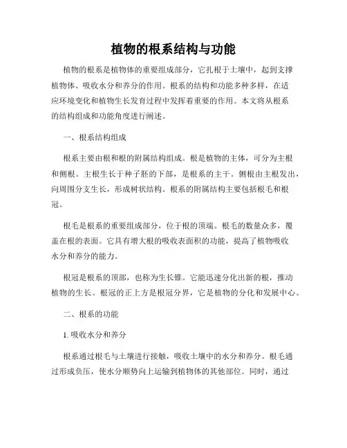 植物的根系结构与功能