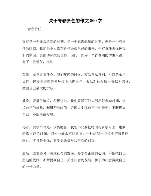 关于青春责任的作文800字