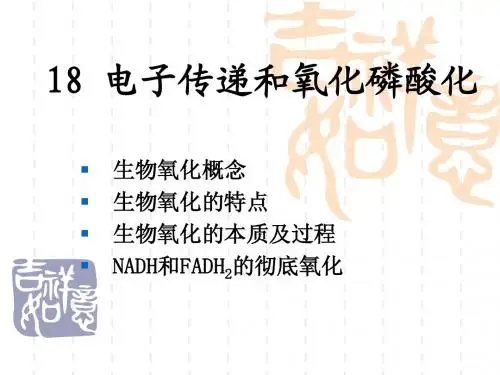 18电子传递和氧化磷酸化