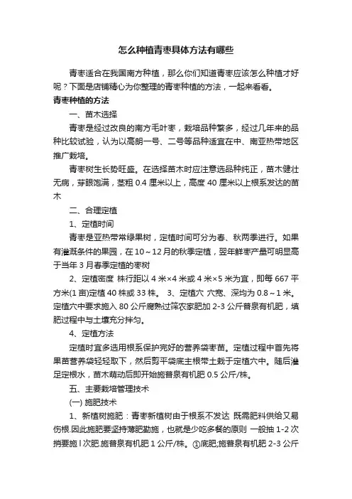 怎么种植青枣具体方法有哪些