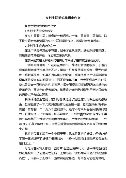 乡村生活抓蚂蚱初中作文