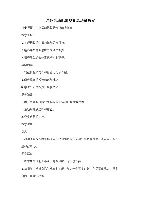户外活动蚂蚁觅食总动员教案
