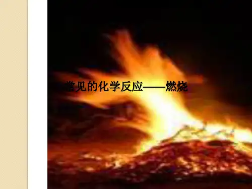沪教版初中化学九上 4.1 常见的化学反应——燃烧  课件 