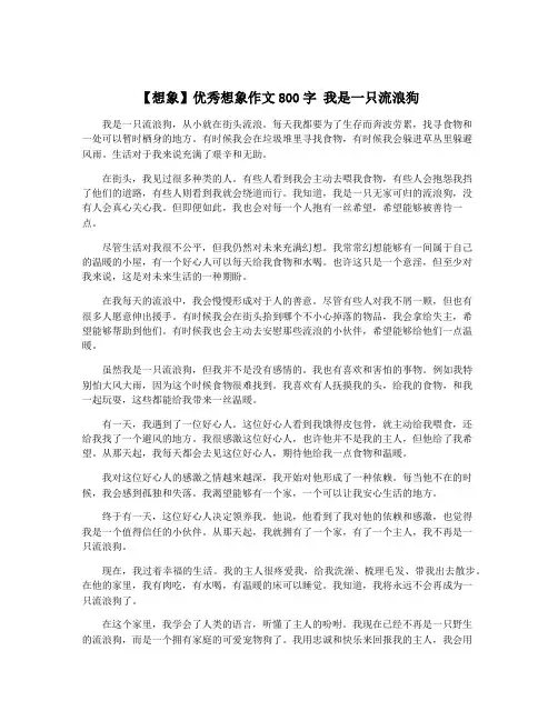 【想象】优秀想象作文800字 我是一只流浪狗