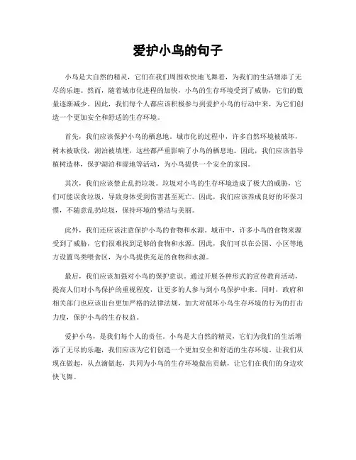 爱护小鸟的句子