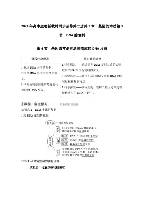 2024年高中生物新教材同步必修第二册第3章 基因的本质第3节 DNA的复制 第4节段含答案