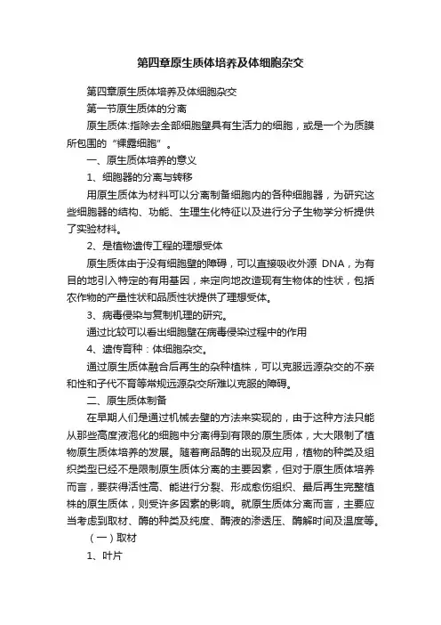 第四章原生质体培养及体细胞杂交