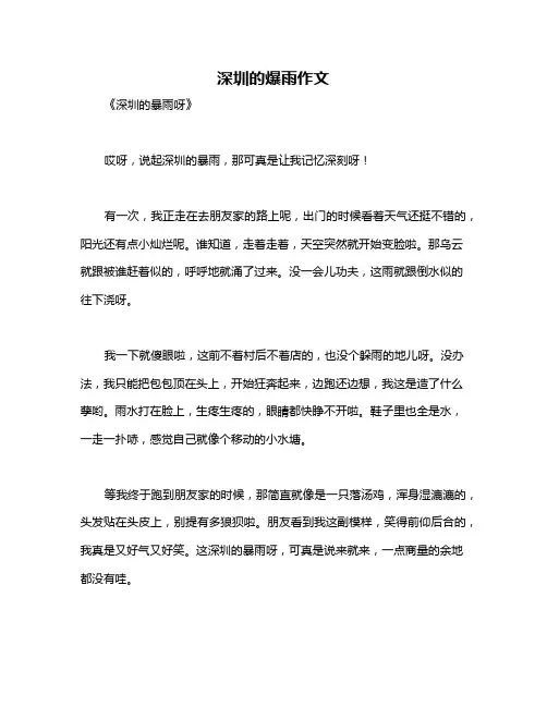 深圳的爆雨作文