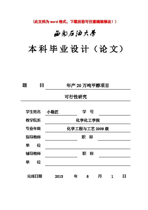 (最新版)年产20万吨甲醇项目可行性研究报告_毕业论文