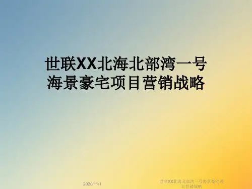 世联XX北海北部湾一号海景豪宅项目营销战略