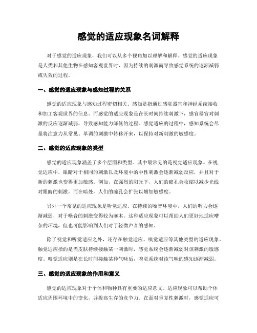 感觉的适应现象名词解释