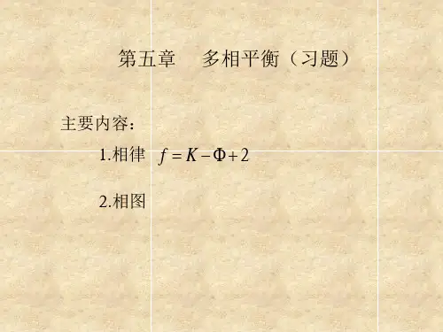 浙江工业大学物理化学考研复习资料 多相平衡(习题)