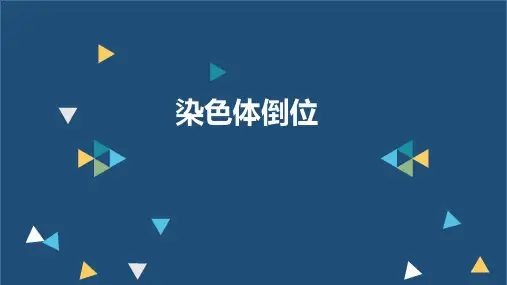 医学遗传学 染色体倒位