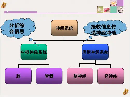 神经系统疾病常见症状体征课件PPT