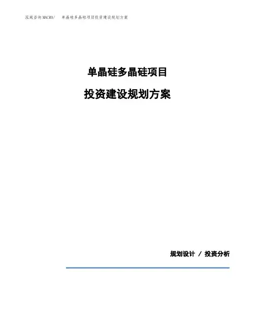 单晶硅多晶硅项目投资建设规划方案(模板)