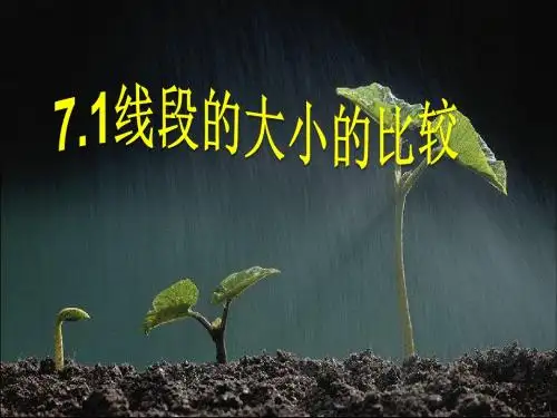 沪教小学数学六下《7.1线段的大小的比较》PPT课件