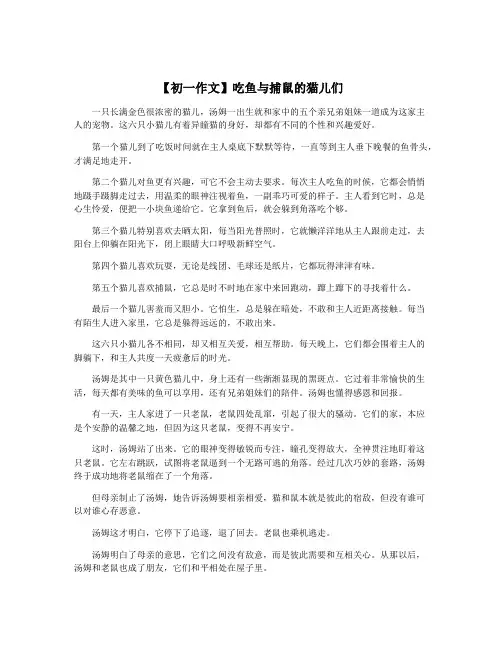 【初一作文】吃鱼与捕鼠的猫儿们