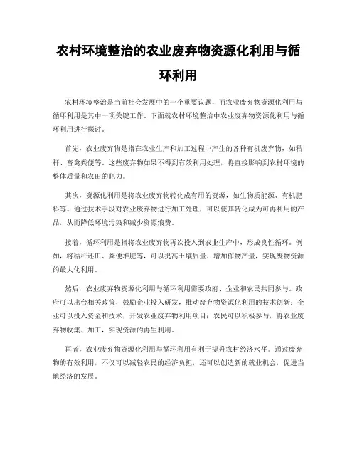 农村环境整治的农业废弃物资源化利用与循环利用