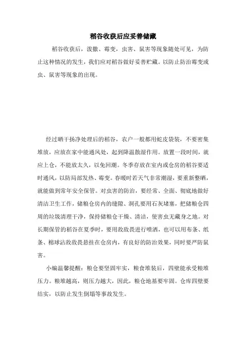 稻谷收获后应妥善储藏.doc