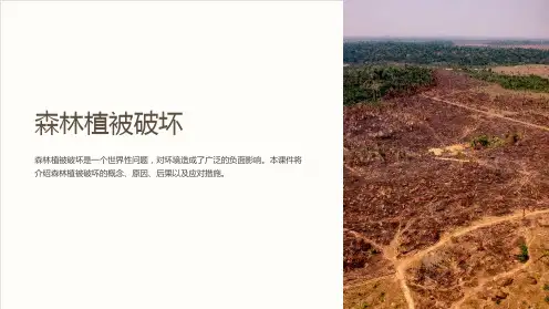 《森林植被破坏》课件