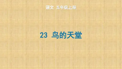 鸟的天堂 生字课件