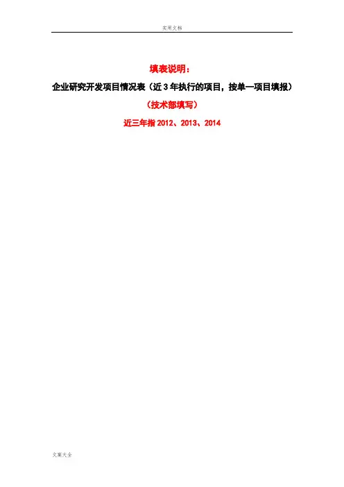 RD企业研究开发项目情况表
