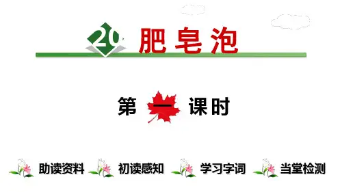 《肥皂泡》课件ppt