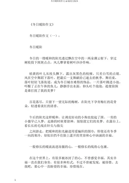 冬日暖阳的作文12篇范文版本