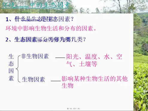 七年级生物上册 1.2.1 生物与环境的关系(光对鼠妇影响)
