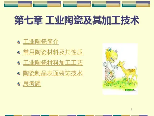 工业陶瓷及其加工技术ppt课件
