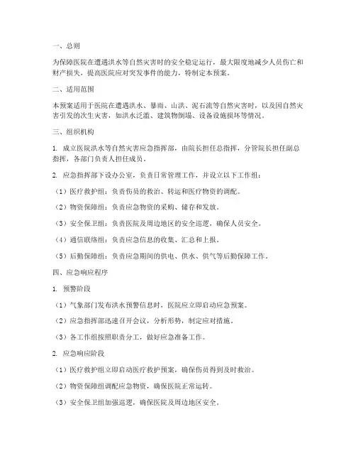 医院洪水等应急预案
