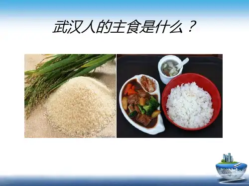 季风水田农业——课件